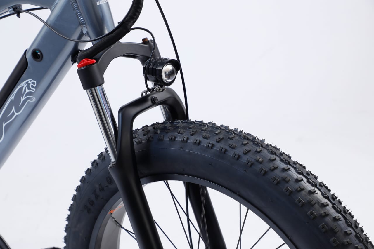 OZ-EBIKE Fat Tyre E-bike